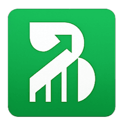 Bridge Advisory